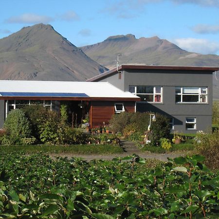 Dilksnes Guesthouse Höfn Kültér fotó