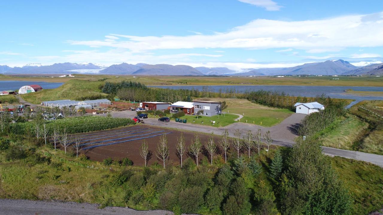 Dilksnes Guesthouse Höfn Kültér fotó