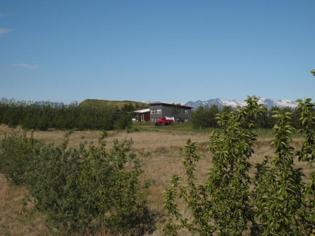 Dilksnes Guesthouse Höfn Kültér fotó
