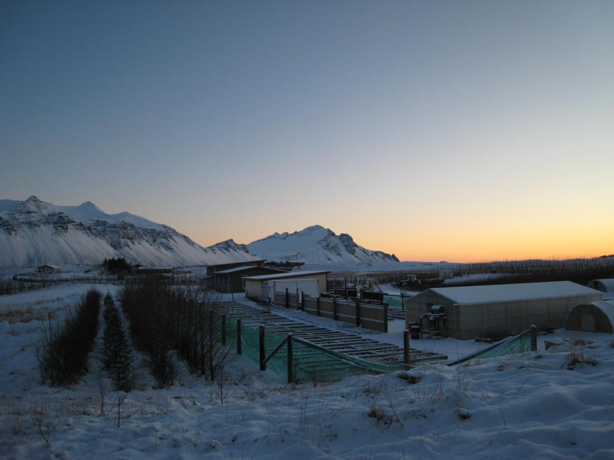 Dilksnes Guesthouse Höfn Kültér fotó
