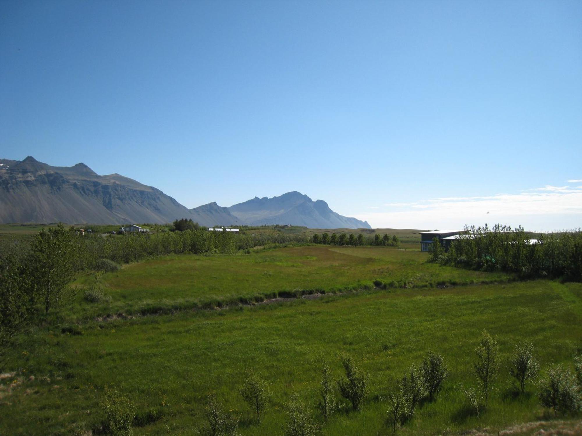 Dilksnes Guesthouse Höfn Kültér fotó
