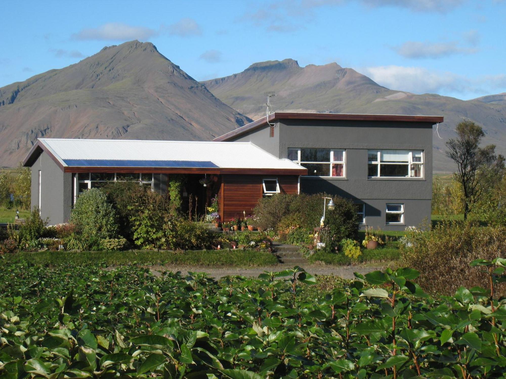 Dilksnes Guesthouse Höfn Kültér fotó