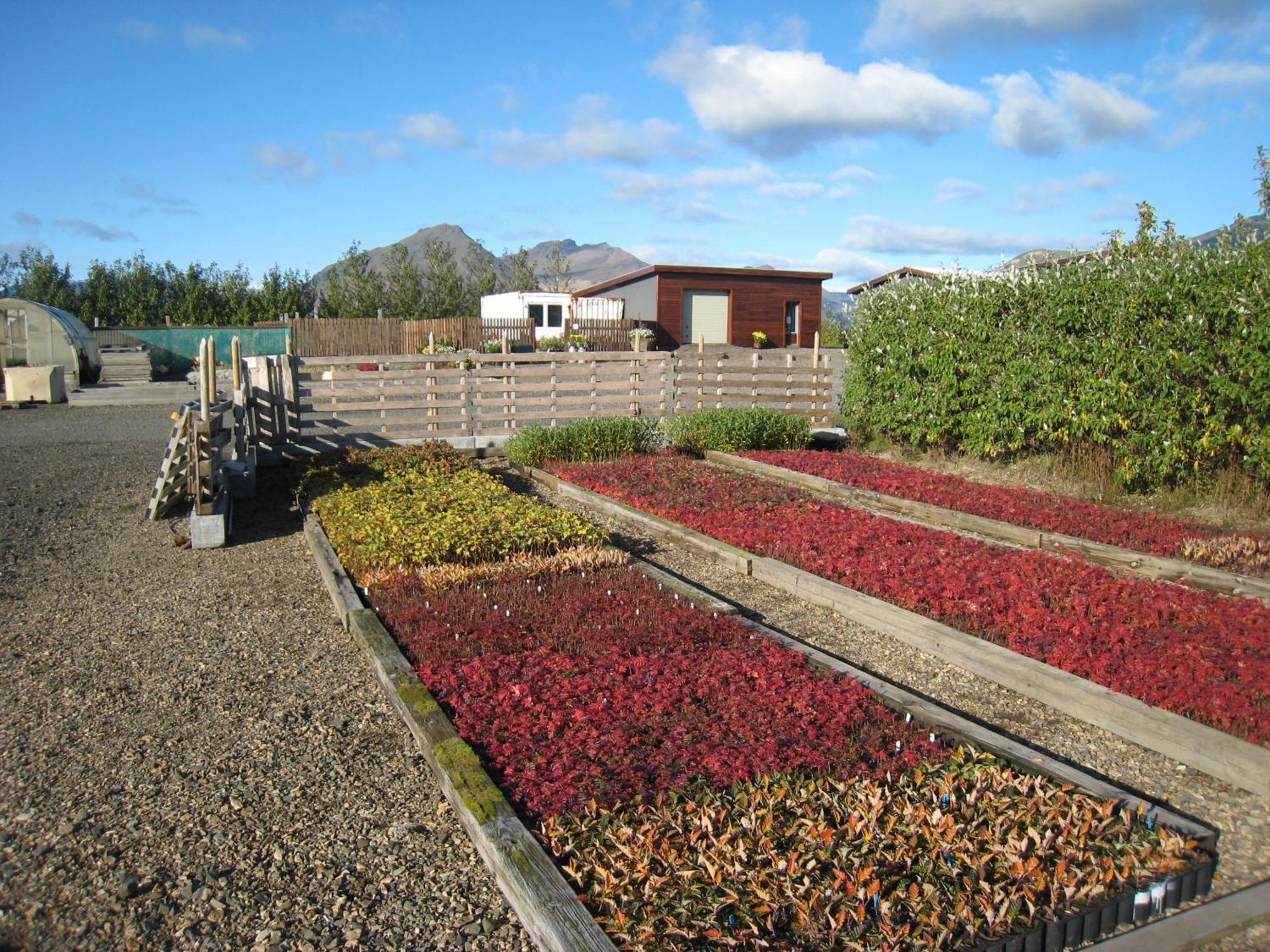 Dilksnes Guesthouse Höfn Kültér fotó