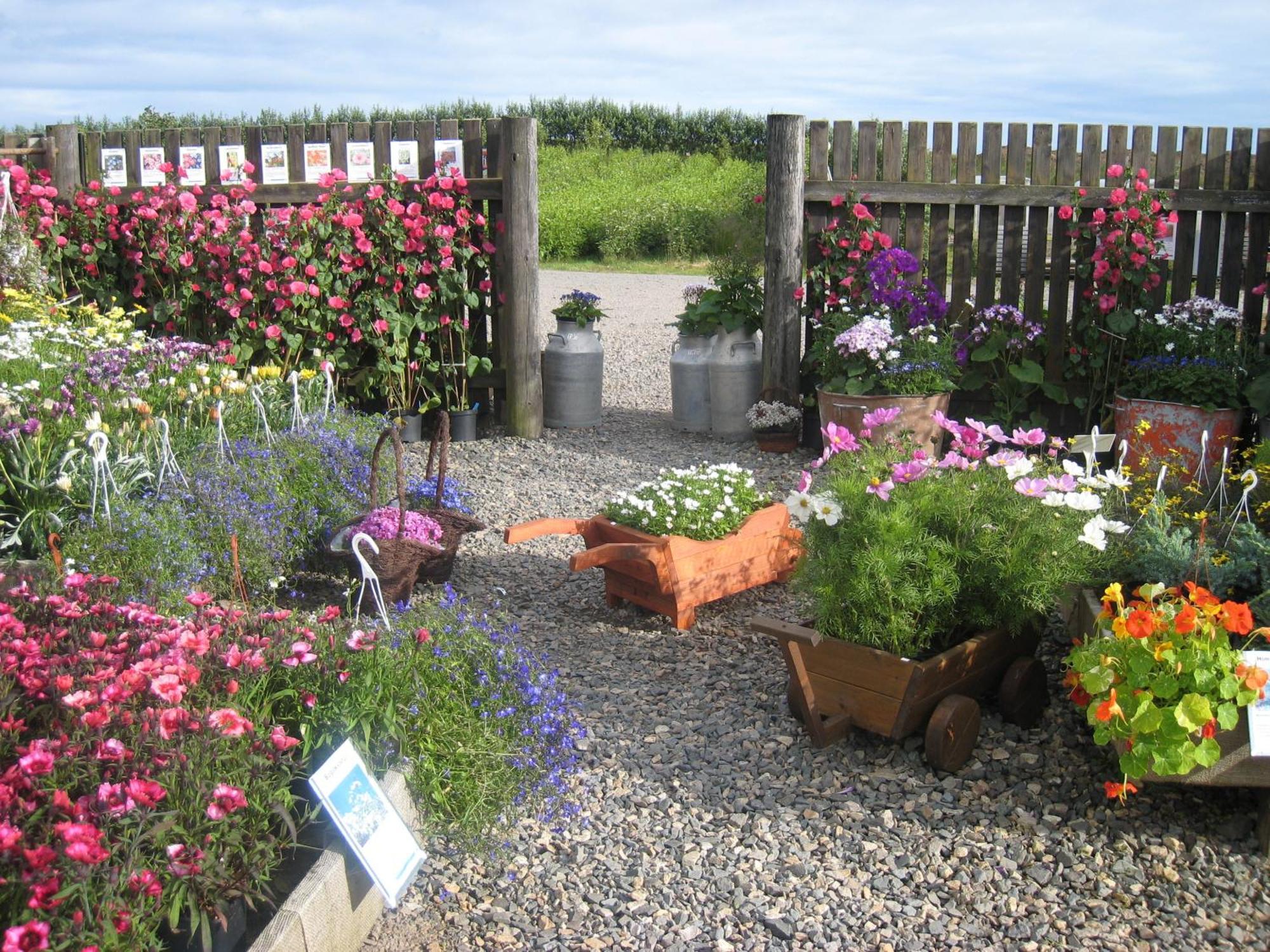 Dilksnes Guesthouse Höfn Kültér fotó