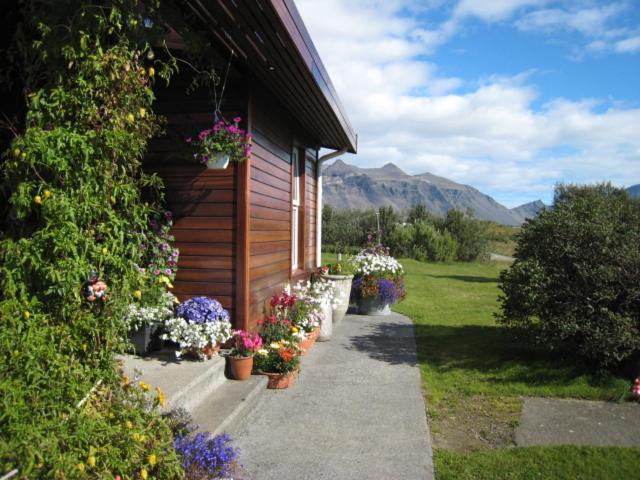 Dilksnes Guesthouse Höfn Kültér fotó